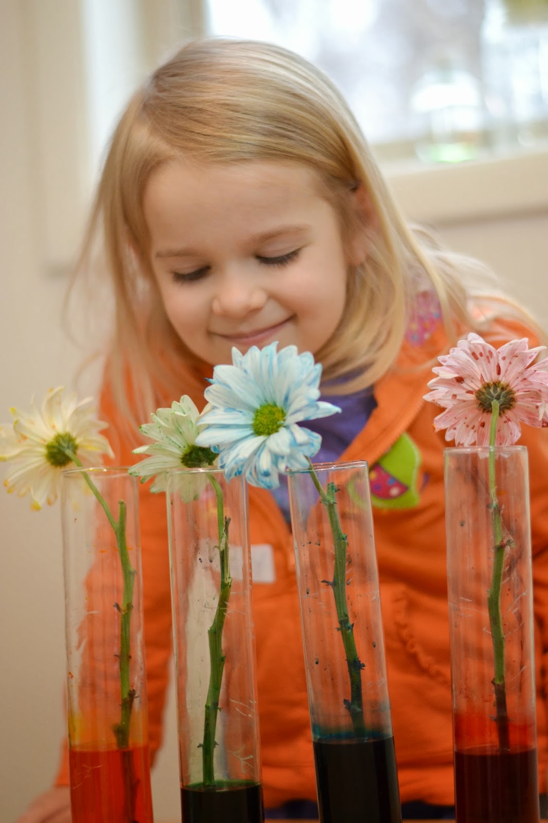 Flower Experiment for Kids- a fun & magical way for kids to learn about flowers