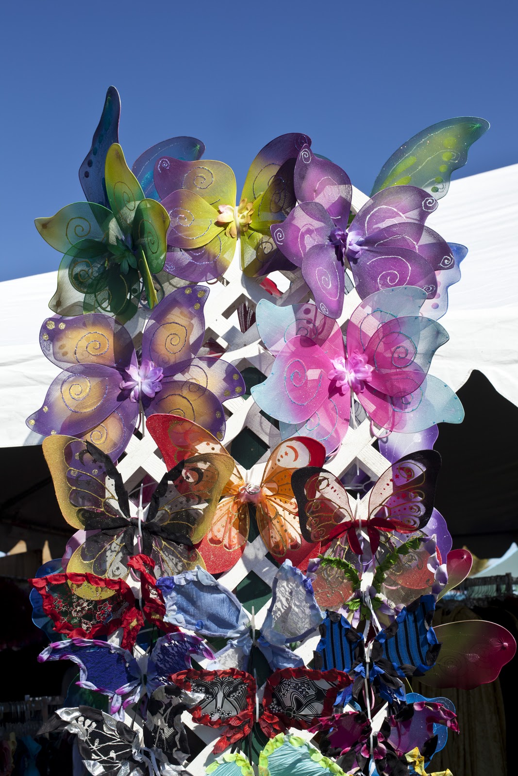 DC Photography Las Vegas Ren Faire