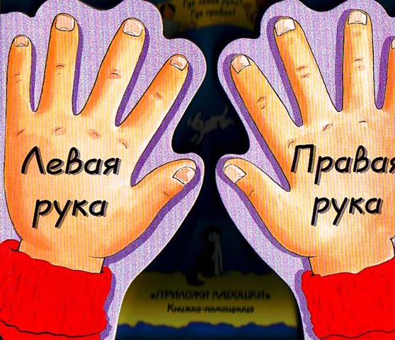Учитель-дефектолог: Как научить ребёнка различать лево и право?