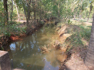 Sitanadi river Water canals at "High Tide"