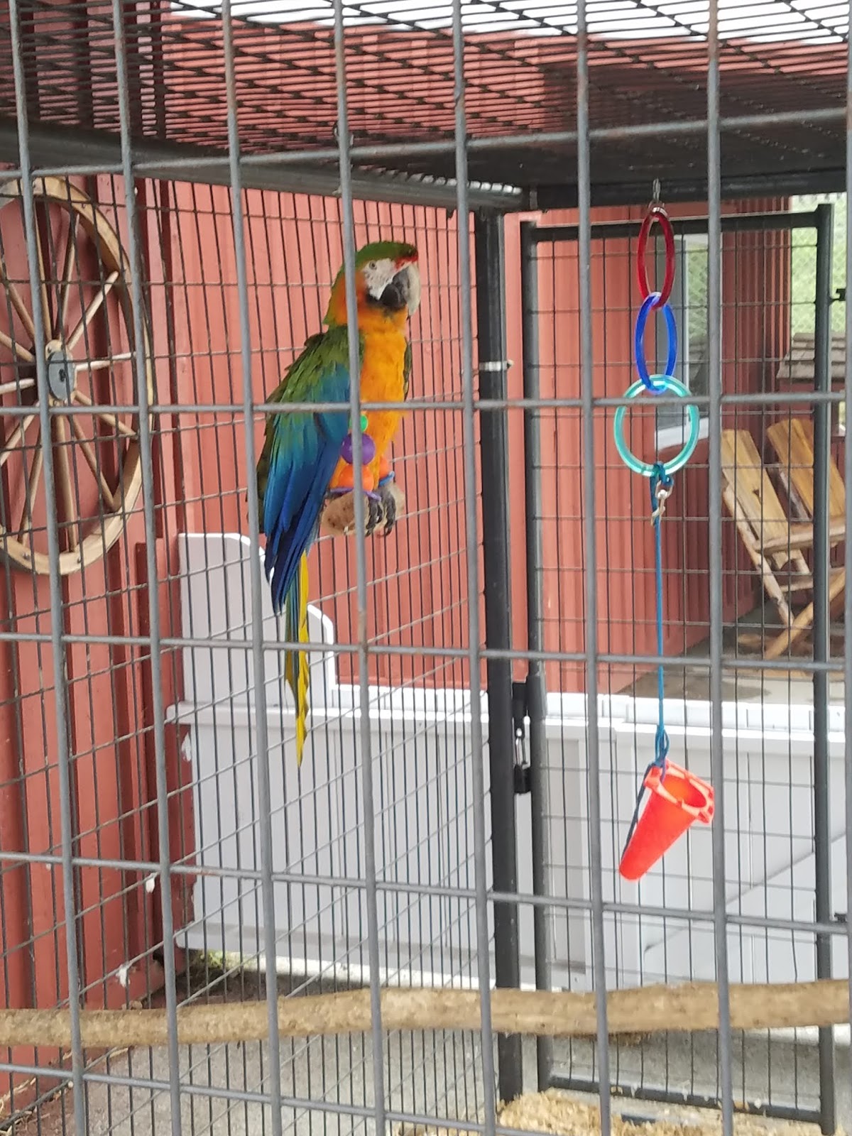 Living Our Bucket List Life Farmington Nemacolin Woodlands Zoo