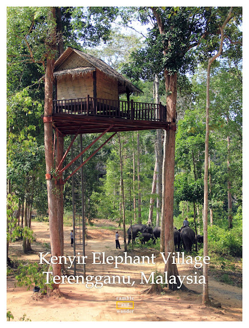 Kenyir Elephant Village, Tasik Kenyir/ Lake Kenyir, Terengganu, Malaysia | www.rambleandwander.com