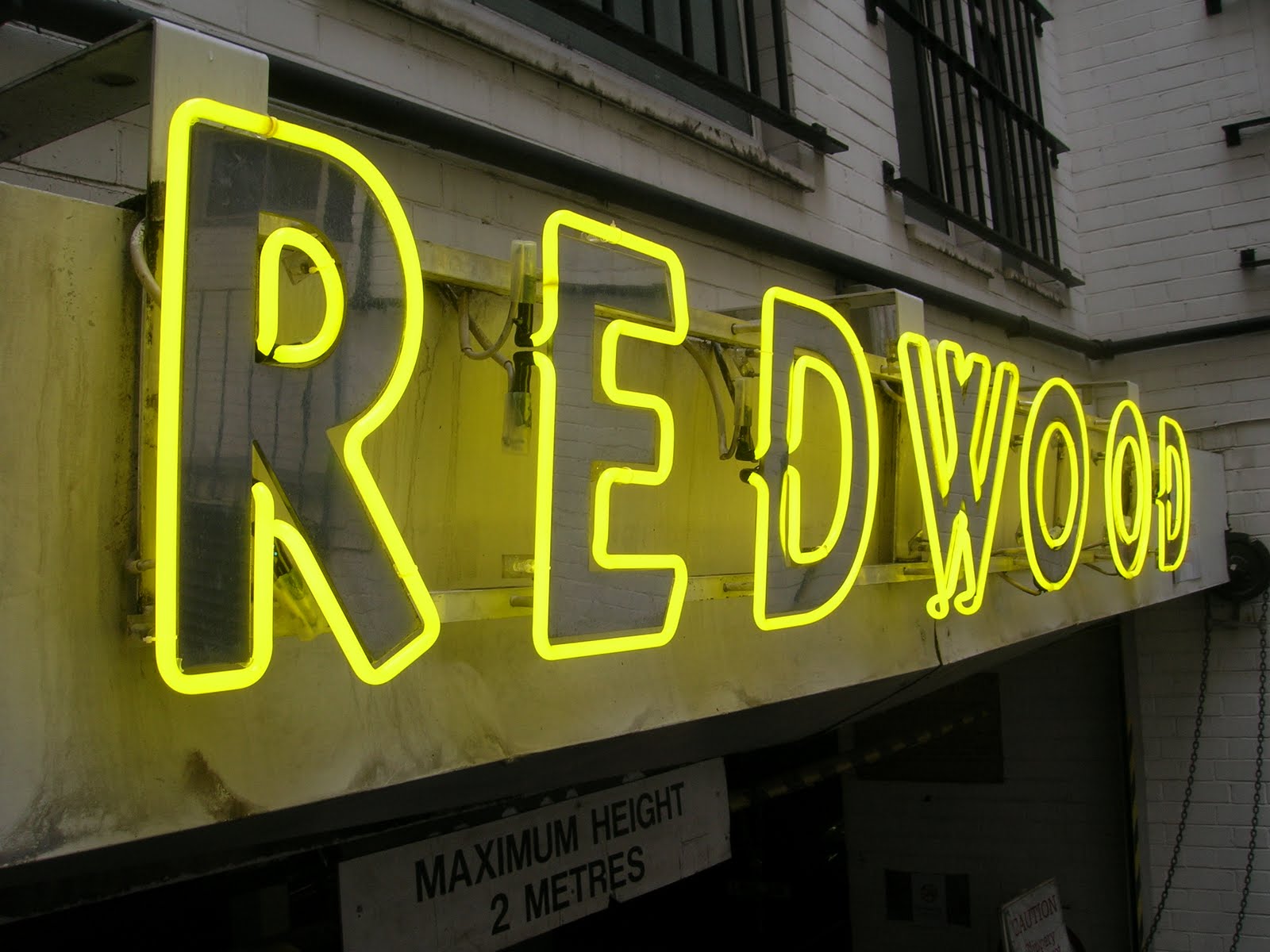 neon sign business installation company decoration wiki expressing signs