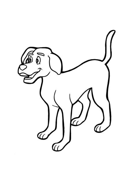Dog Coloring Pages Team colors