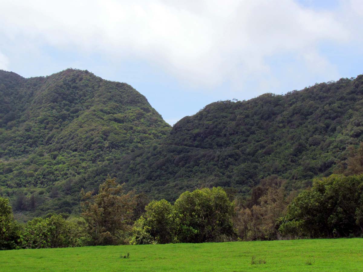 The Agatelady Adventures and Events Ziplining in Kauai Post 2