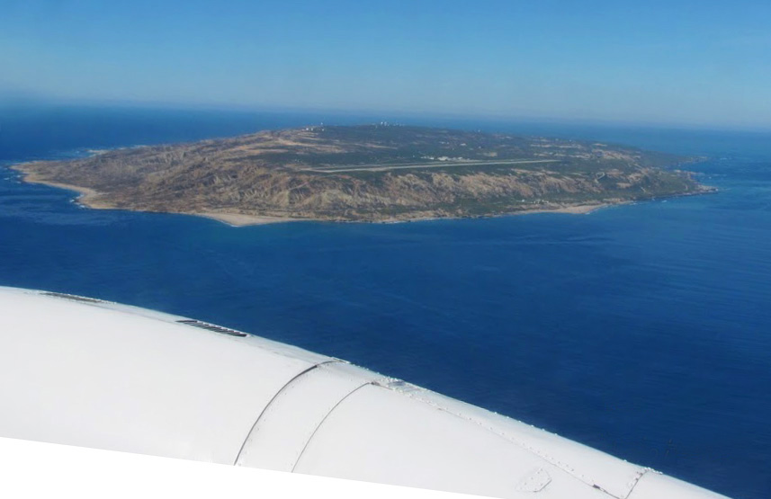 Channel Islands Restoration Blog CIR Removes Invasive Sahara Mustard