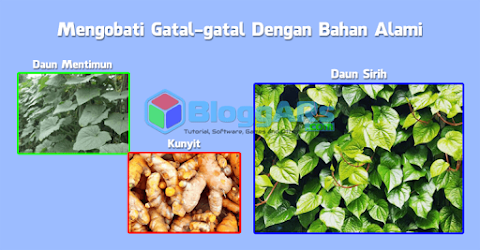 Mengobati Gatal-Gatal Dengan Bahan Alami Mengobati Gatal Bahan Alami