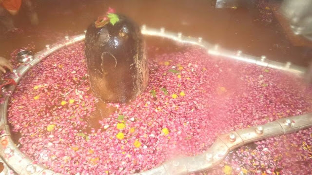 ujjain-mahakal-mandir-2015-90 साल बाद जलमग्न हुए उज्जैन के बाबा महाकाल भस्म आरती