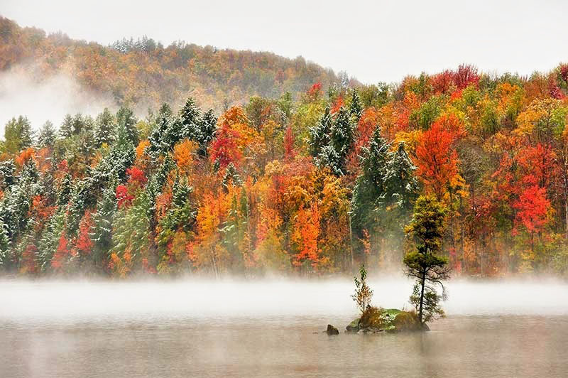 Was ist der Unterschied zwischen Weiher, Teich und Tümpel? Natur