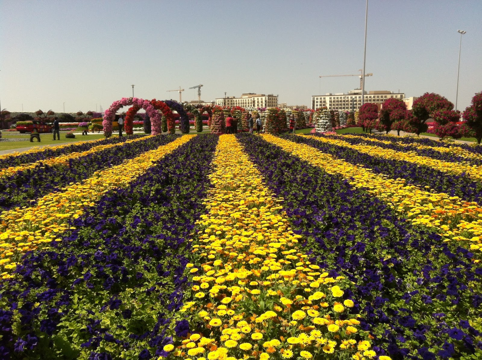 Flower Garden Miracle Garden Location Map