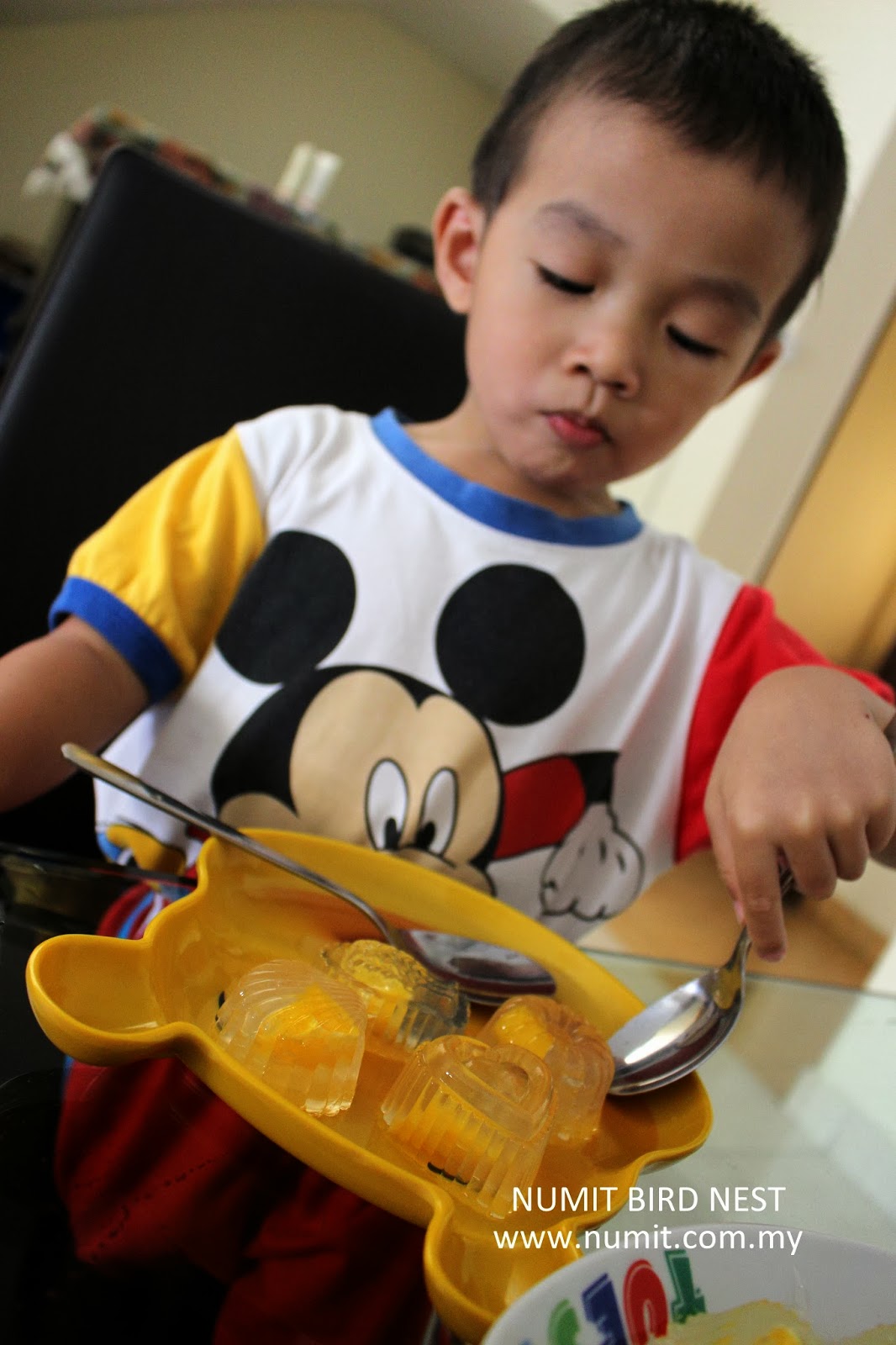 NUMIT Bird Nest 浓密燕窝 BIRD's NEST ORIGINATED FROM TAIPING, MALAYSIA