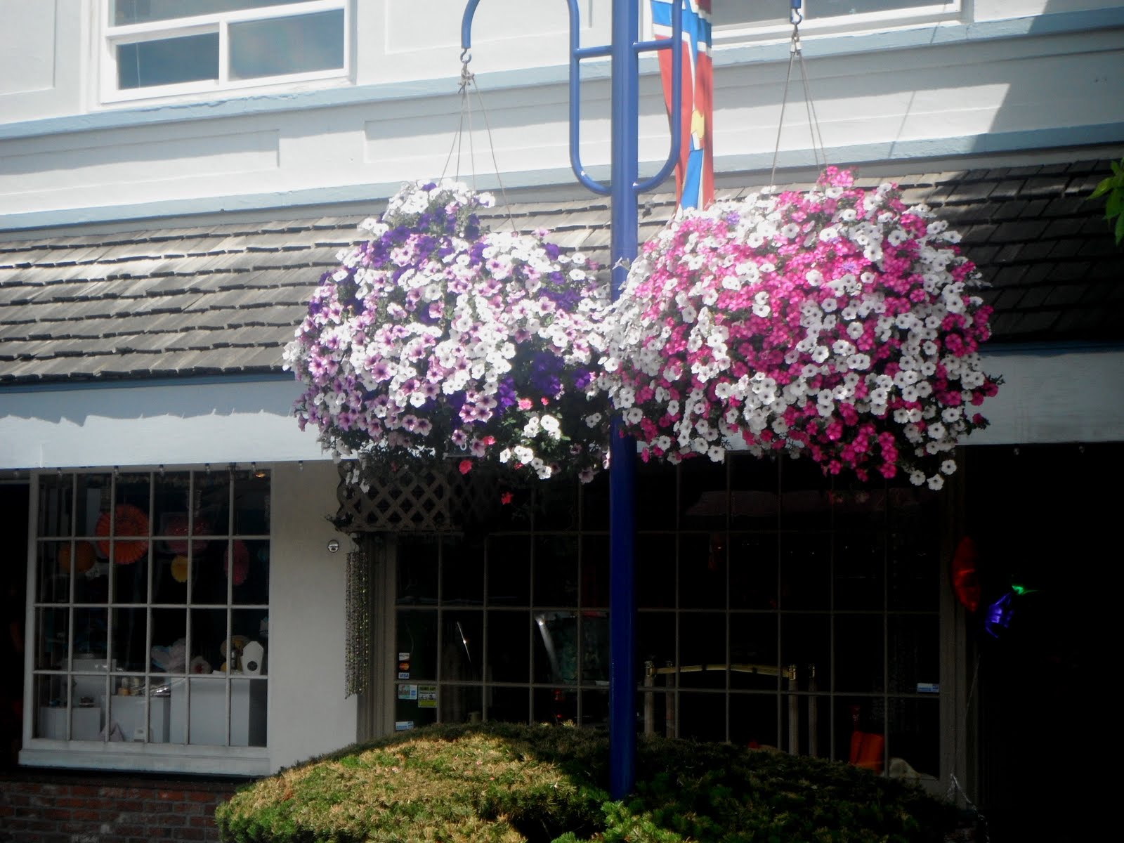 Antiques And Teacups Pink Saturday, Pink Carousel Horse Mug, Lunch at