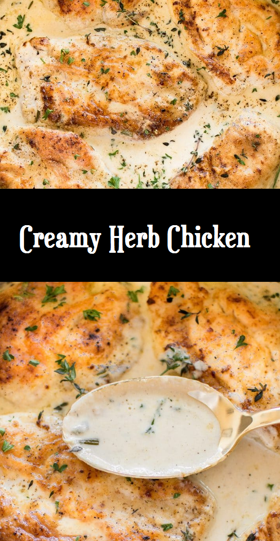 Creamy Herb Chicken Recipe - Easy Recipes