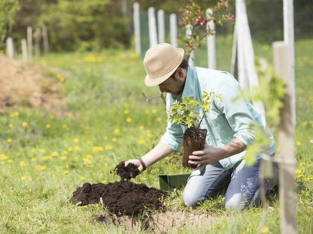 HOBBI BERKEBUN MENJADI TERAPI HORTIKULTURA BAGI KESEHATAN
