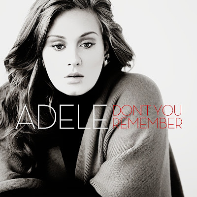 Adele - Don't You Remember Lyrics