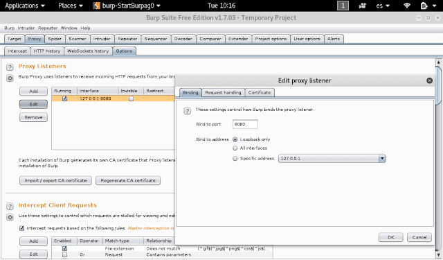 upgrade burp suite kali linux upgrade burp suite kali linux