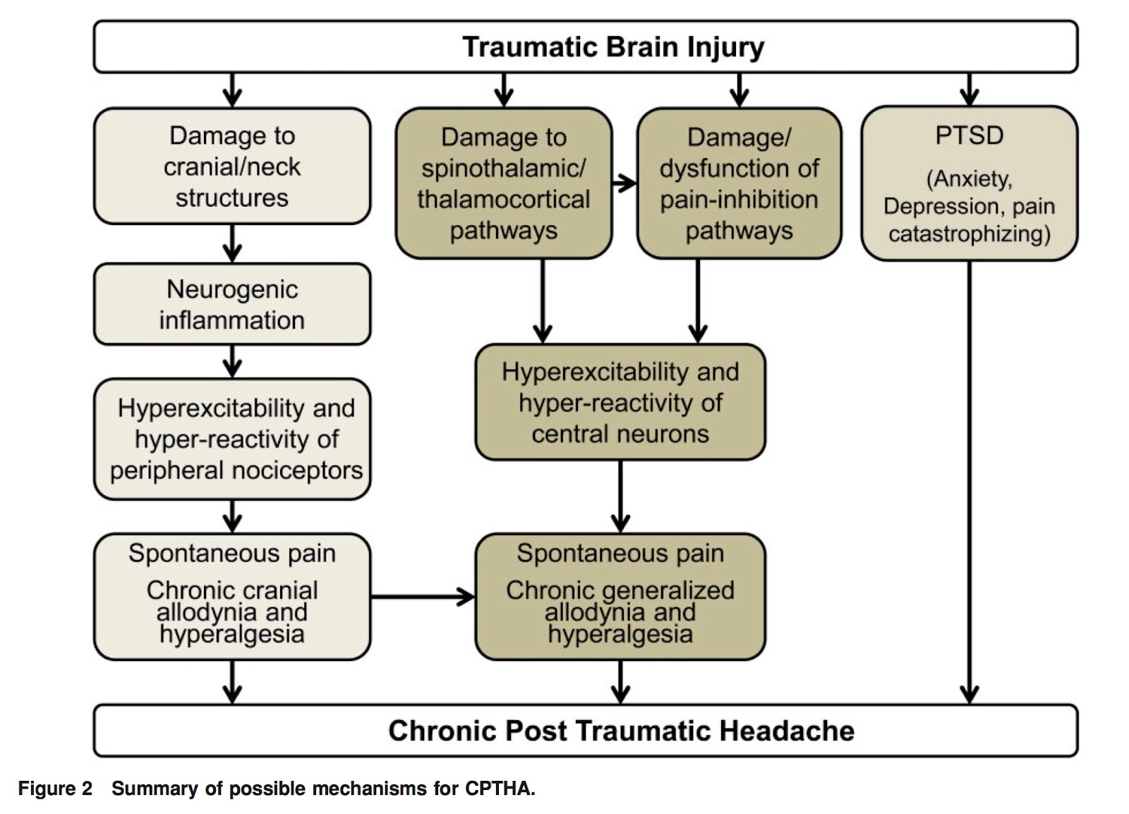 Hospitalist なんでも無い科医の勉強ノート 外傷後頭痛
