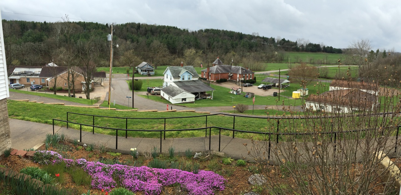 Julie Zickefoose on Blogspot Lower Salem Love Letter