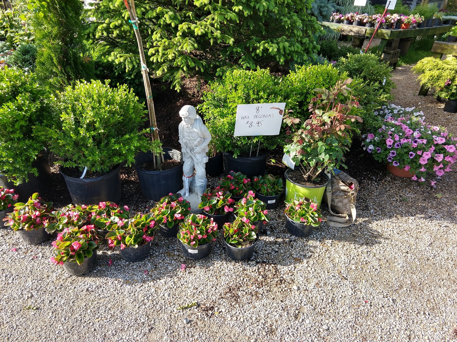Peters Nursery & Garden Center