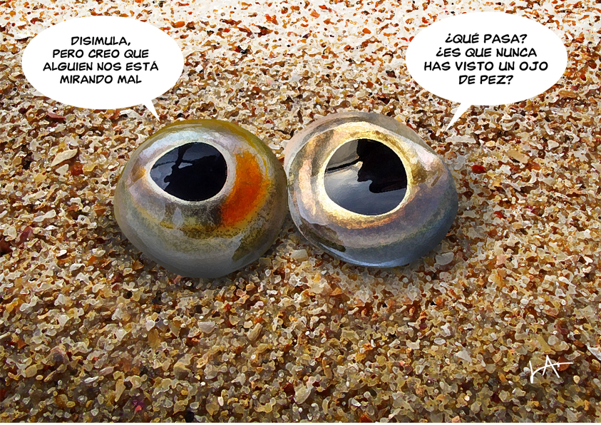 Ojos de pez Pescado del dia