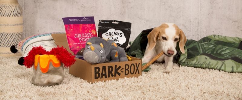 Best Pets Subscription Boxes - Bark Box