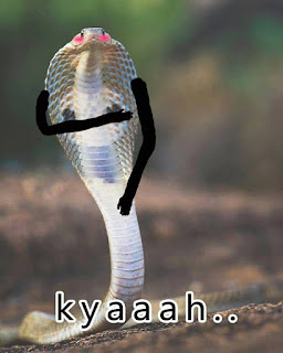 Kyahhh