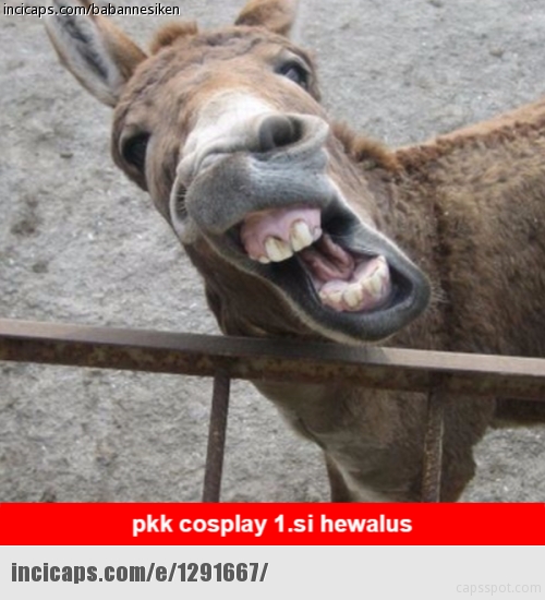 İnci Caps Komik resim dünyası Hayvan capsleri