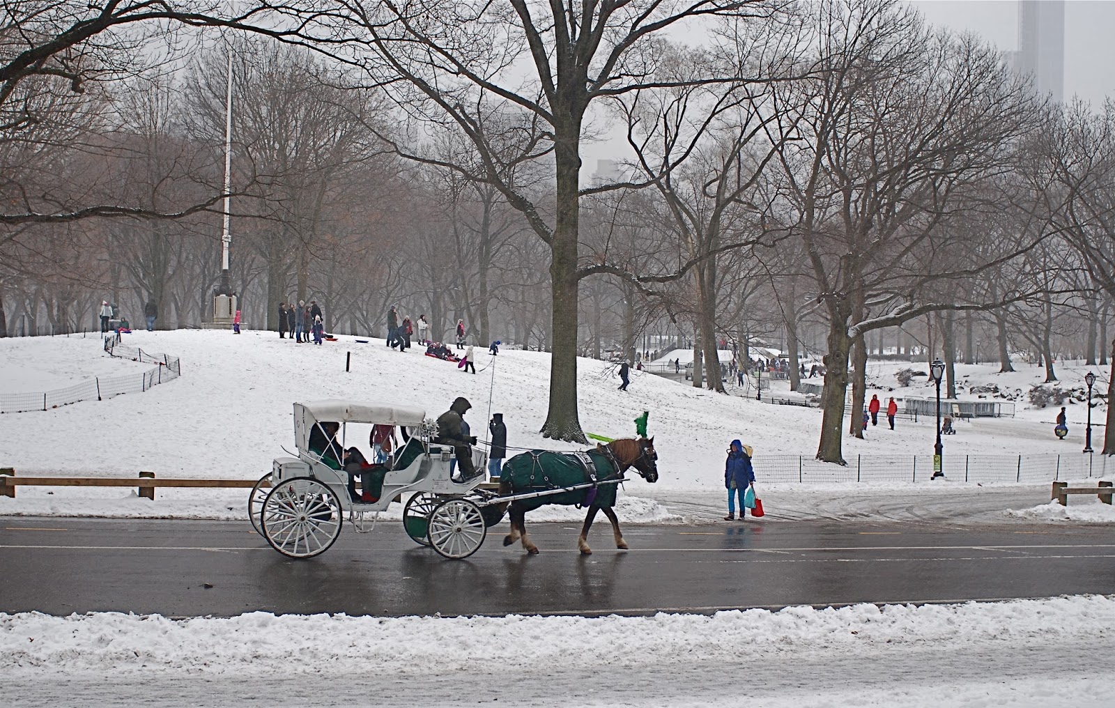 NYC ♥ NYC: Iconic Horse-Drawn Carriage Rides in Central Park
