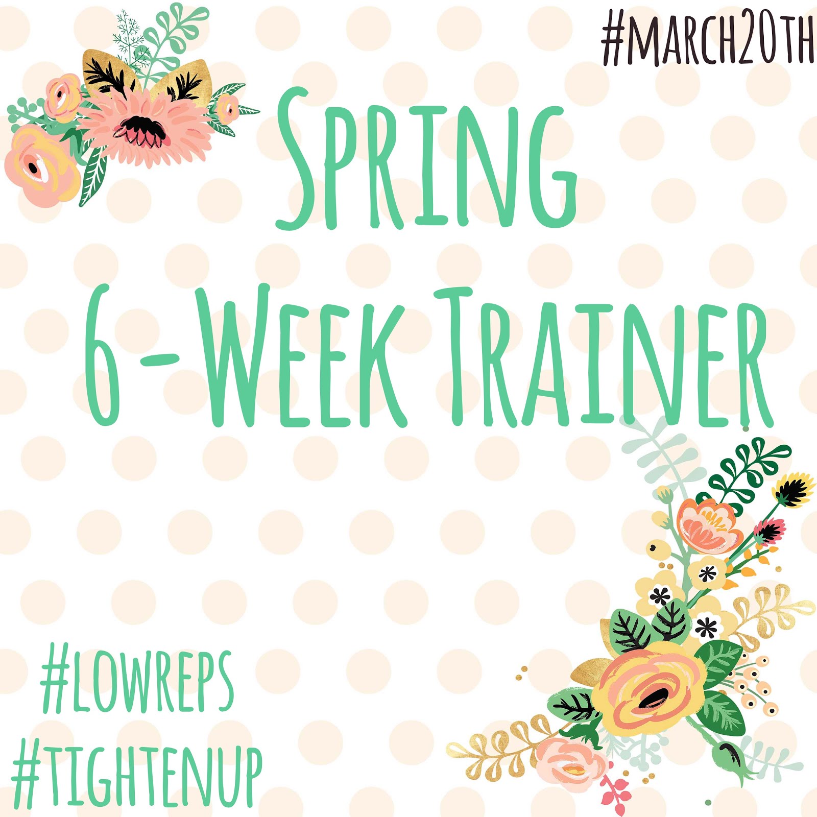 Spring 6-Week Trainer