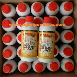 Vitamin Ternak Vitamin Ternak