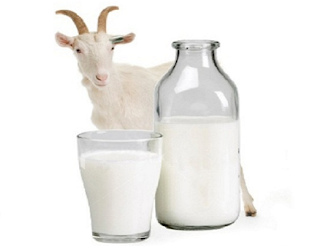 Makin Mulus, Rawat Kulitmu Dengan Skincare Susu Kambing Makin Mulus, Rawat Kulitmu Dengan Skincare Susu Kambing