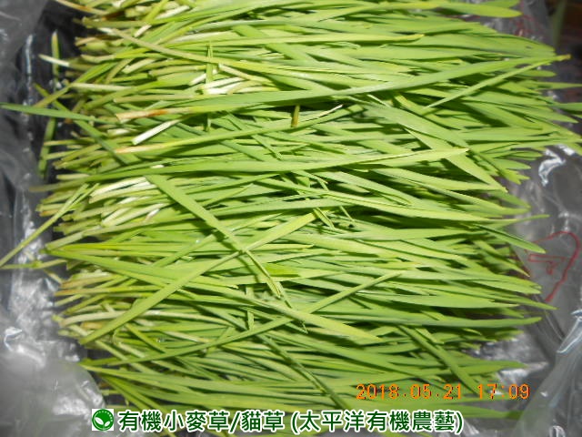 �p��,�߯�ش�,�߯�شӤ�k,�߯�,�߯�O����,�߯�diy,�߯�p����,�߯����,�^�K���@�k,�ؿ߯�