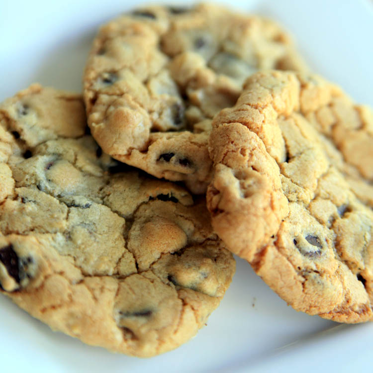 Treats and Desserts Choco Chip Cookies