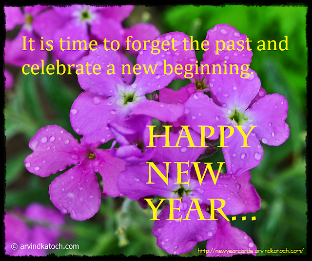 Happy New Year, Card, Forget, Celebrate, Forget, Beginning, 