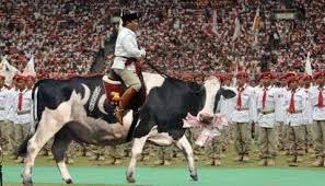 Agen-Gaple Meme-Prabowo-Subianto