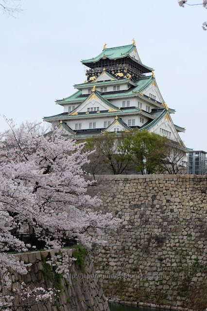 Sakura Osaka Castle