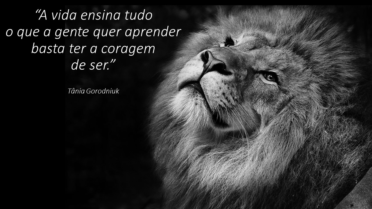 Exemplo De Que Ter Coragem Não É Sobre Ser Selvagem