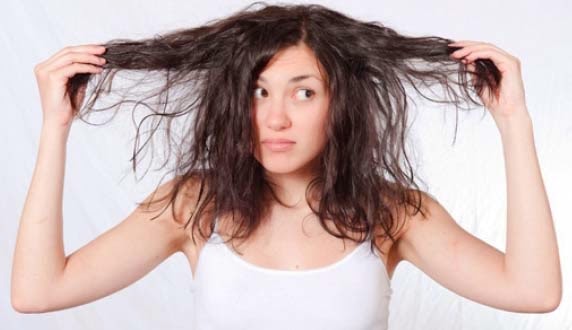 Cara Menghilangkan Telur & Kutu Rambut Secara Alami dan Cepat Cara Menghilangkan Telur & Kutu Rambut Secara Alami dan Cepat