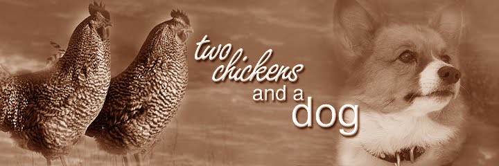 two chickens and a dog