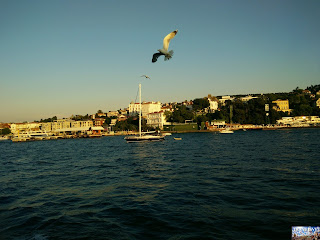 Turquie Istanbul Turquie Istanbul