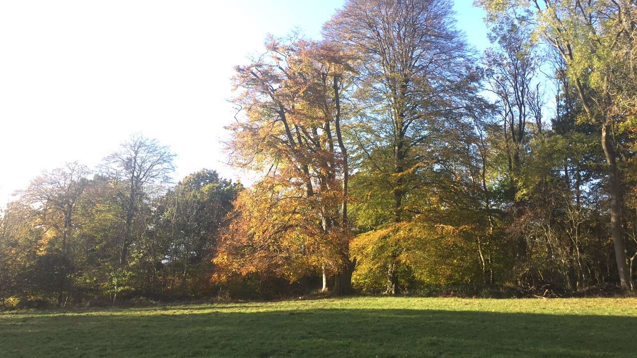 Formidable Joy - UK Fashion, Beauty & Lifestyle Blog | Lifestyle | An afternoon at Ashridge Formidable Joy | Formidable Joy Blog | Ashridge | Ashridge Estate