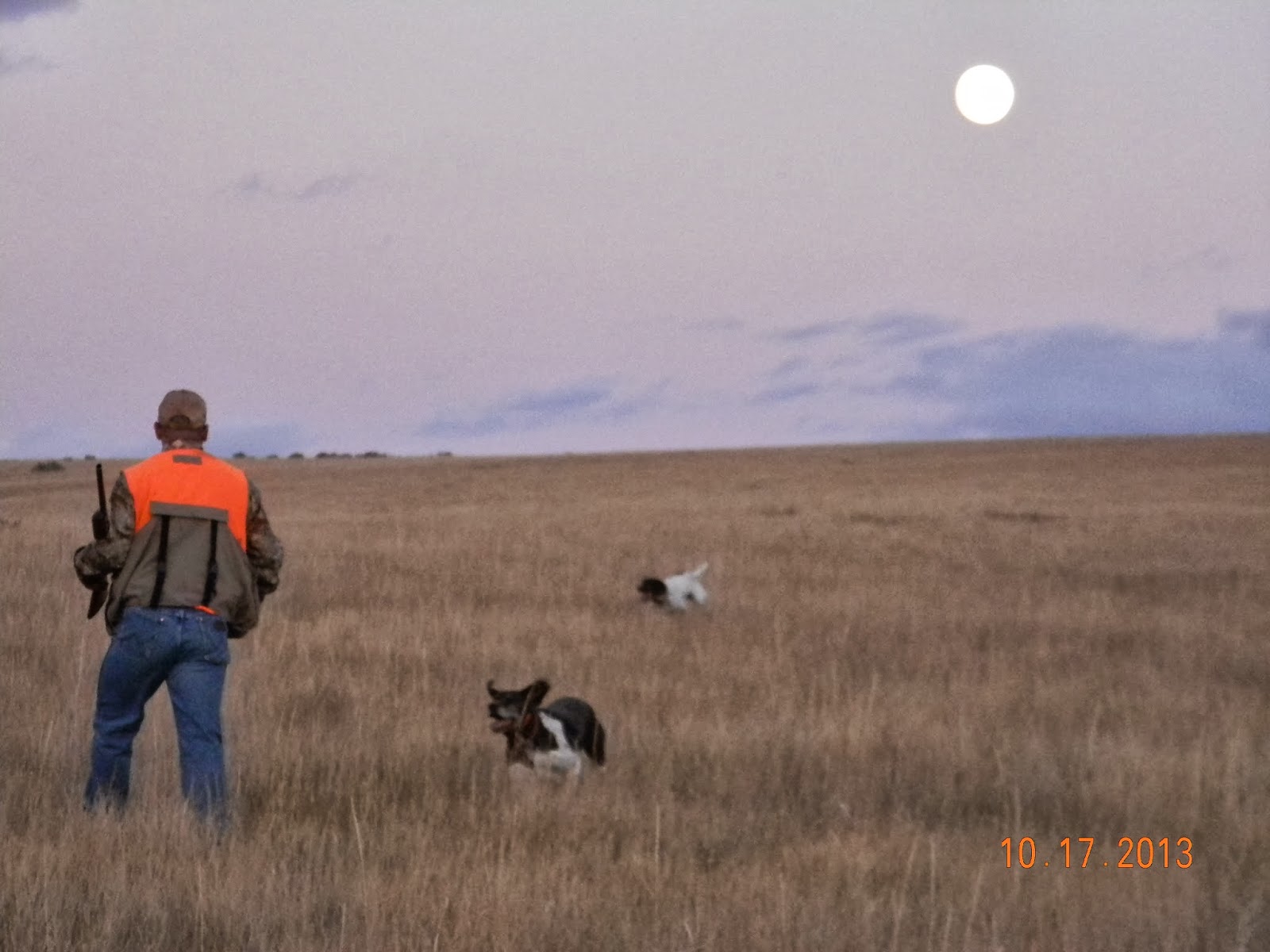 Gunsight Kennels Sharp and Pheasant Hunting in Idaho