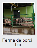 Ferma porci Bio sursa imagine Facebook