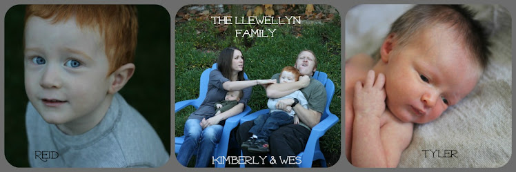 The Llewellyn Family