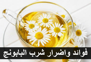 أضرار البابونج