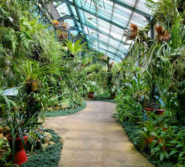wisata keluarga kebun raya bogor wisata keluarga kebun raya bogor