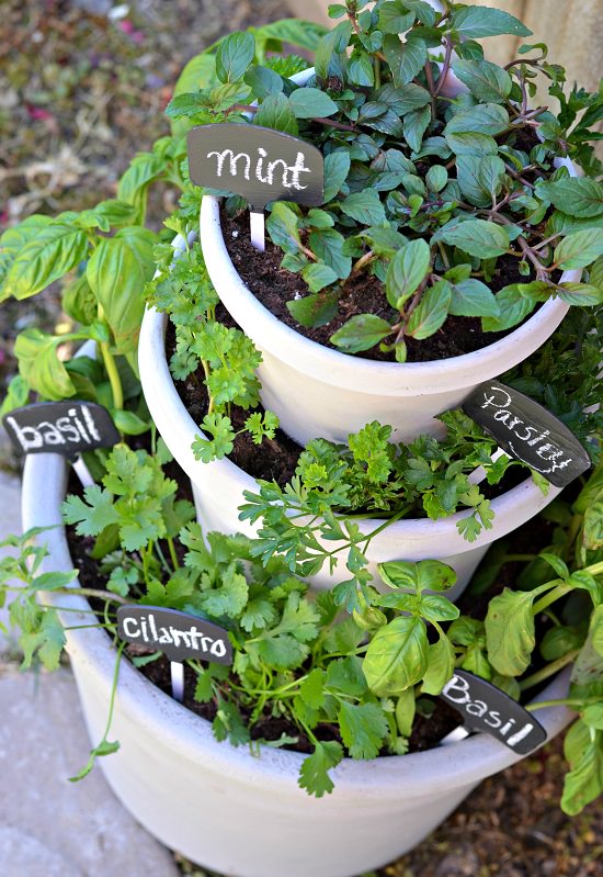 how to start an urban garden