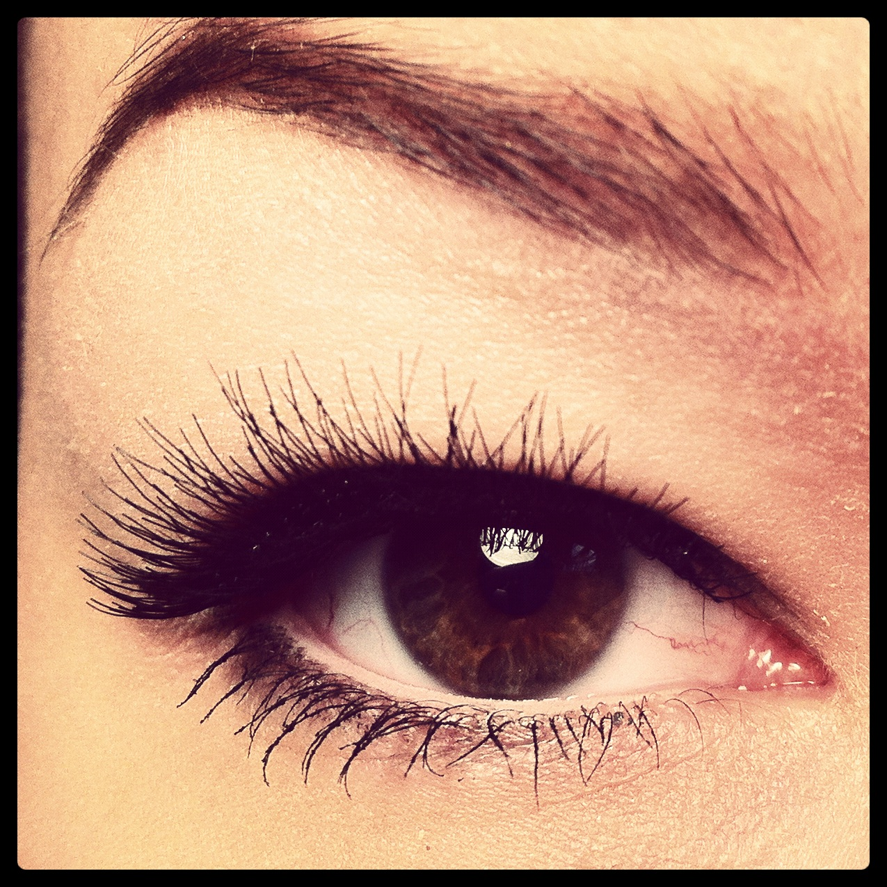 Red Cherry Wimpern Welche Sind Die Besten Kokiri auf Eis: [Review]: Wimpern von Red Cherry