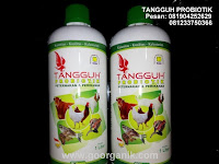 Manfaat Tangguh Probiotik Nasa.Tangguh Probiotik Pakan Ternak Manfaat Tangguh Probiotik Nasa.Tangguh Probiotik Pakan Ternak