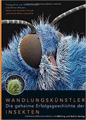 Wandlungskünstler